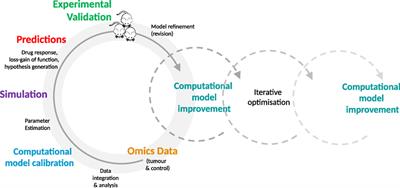 Models of Models: A Translational Route for Cancer Treatment and Drug Development